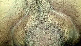 Wife's hairy pussy gets fucked.