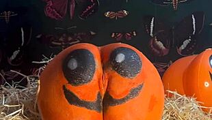 Horny Teen Whore Bent Over In Doggystyle Gets Double Creampie In Spooky Pumpkin Patch