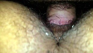 Wife's hairy pussy gets fucked.