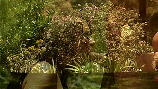 Eva Angelina Deepthroats And Fucks Thick Dick Outdoors In Shaved Anal And Pussy Action