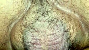 Wife's hairy pussy gets fucked.