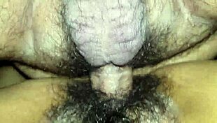 Wife's hairy pussy gets fucked.