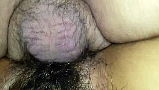 Wife's hairy pussy gets fucked.