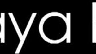 WE ARE CAMEL TOE CRAZY!