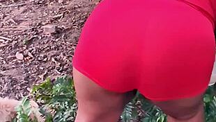 Evangelical neighbor picking fruits in public