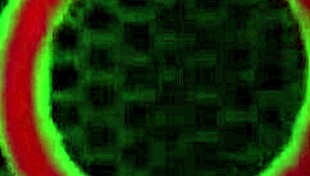 Fit Ava Lee Tries Rome Major's Thick Cock Workout