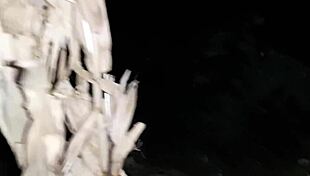 i caught my stepmom pissing and masturbating outside