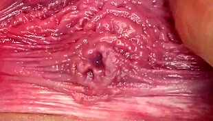 Time For Breeding Session