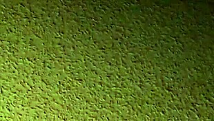 Hey, it's friday night, and we're getting wild with some amateur pregnant fun.