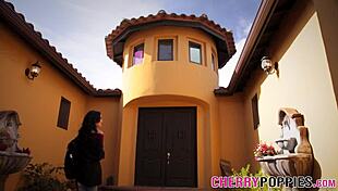 teen gets pussy jizzed in outdoor creampie