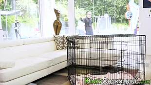 Cuckolding milf gets fucked and toyed?