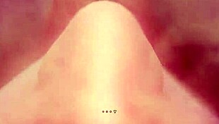 Under The Witch - Alice Fart