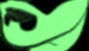 Threesome with busty latina pornstars lasirena69 and trukait