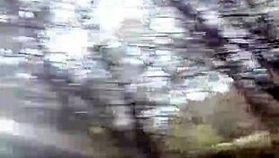 Reymisterio422's favorite forest spot for anal play 😏