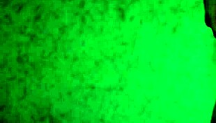 Panties Try On Haul Thong Only Ass Shaking Teasing Free!