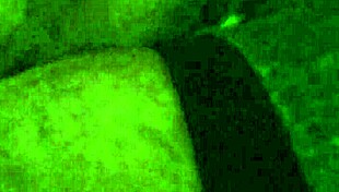 intriguing big ass masturbation session