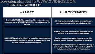 Casual story about partnership law