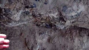 Pingo Na Bunda Part C: El Toro De Oro And Paty Bumbum With Cousins