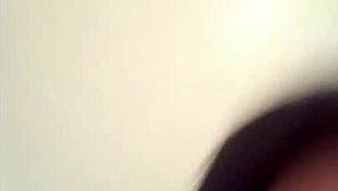 Exciting video call with Lula on WhatsApp from Mexico!