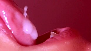 Intriguing Japanese story of a passionate baseball fan's adventures