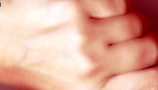 Intriguing Japanese story of a passionate baseball fan's adventures