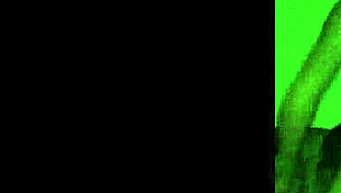 japanese wife with asian mistress in hidden amateur scene