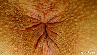 want to see this pulsating orgasm with anal contractions close up on the asshole?