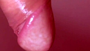 Intriguing Japanese story of a passionate baseball fan's adventures