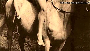 Dark Lantern Entertainment rolls out retro vibes with hairy action