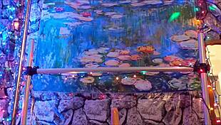 Hotwife Steffi masturbates her huge pussy lips at party with vibrator