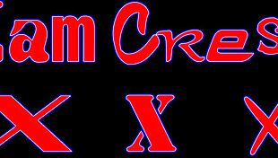 Stepmom's Anal Play!