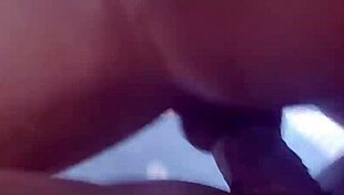 Tykk brunett med tatoveringer får ræven sin slikket og gapet av stor svart kuk