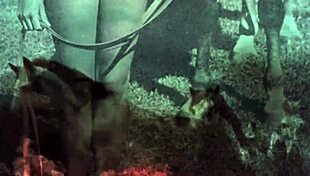 Dark Lantern Entertainment rolls out retro vibes with hairy action