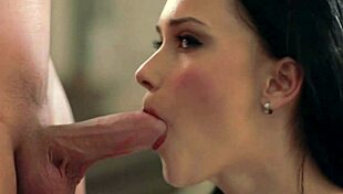 lovely brunette suck and blow the cock lively