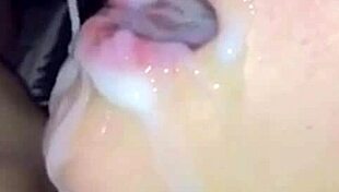 Vietnamese culture exploration