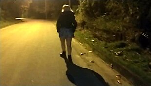 blowjob on the street with police?