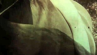 Dark Lantern Entertainment rolls out retro vibes with hairy action