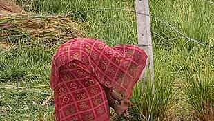 New Indian Honeymoon Couple Fucks Outdoor!