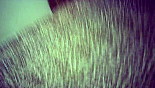 Wow! Behind The Scenes: Sexy Slim Model Vs Pornstar In Hardcore Intergender Match!