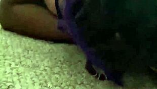 submissive girl moans black lives matter during black cock breaking