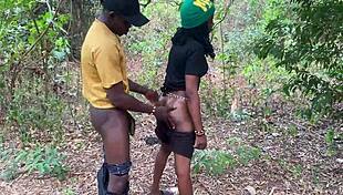 Take a walk with Vera