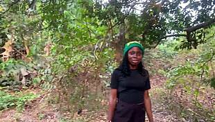 Take a walk with Vera