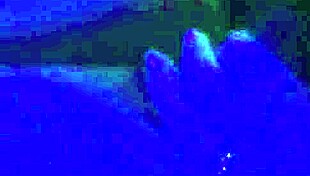 Blow Job Bandit Steals The Show!