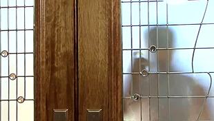 black cock in missionary and doggystyle with ass licking