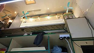 Hot Chick Voyeur Upskirt