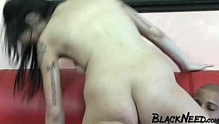 i fucked that fat bbw slut rough