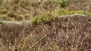 Petite amateur blows in nature during my cyprus trip