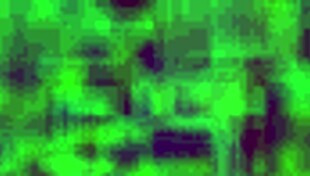 Ever tried anal with a Mexican prostitute from Puebla? she asks provocatively.