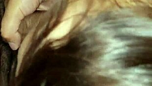 puta mamando verga in bold amateur milf sex