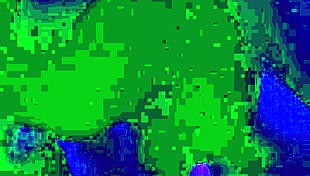 Blow Job Bandit Steals The Show!